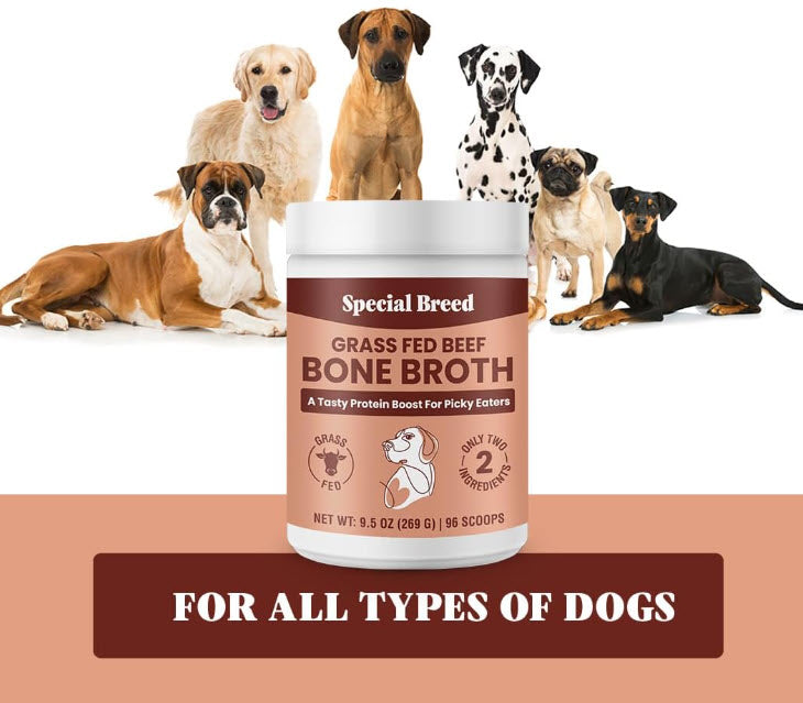 Grass Fed Beef Broth Powder Food Topper