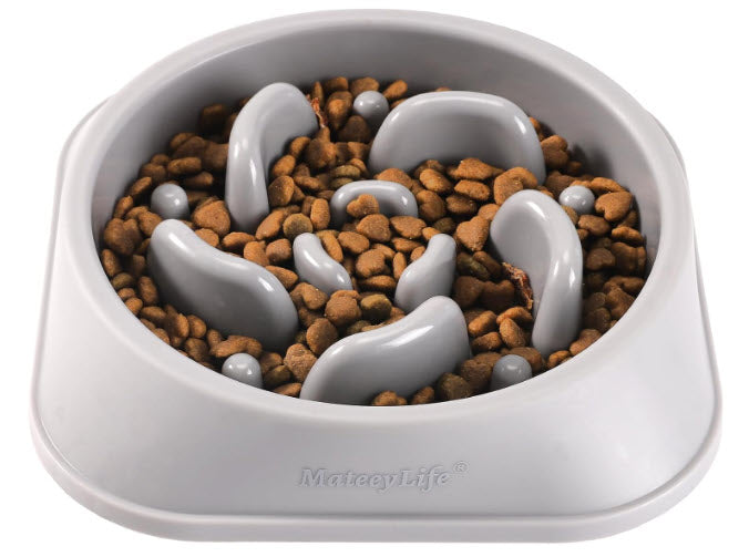 Slow Feeder Bowl