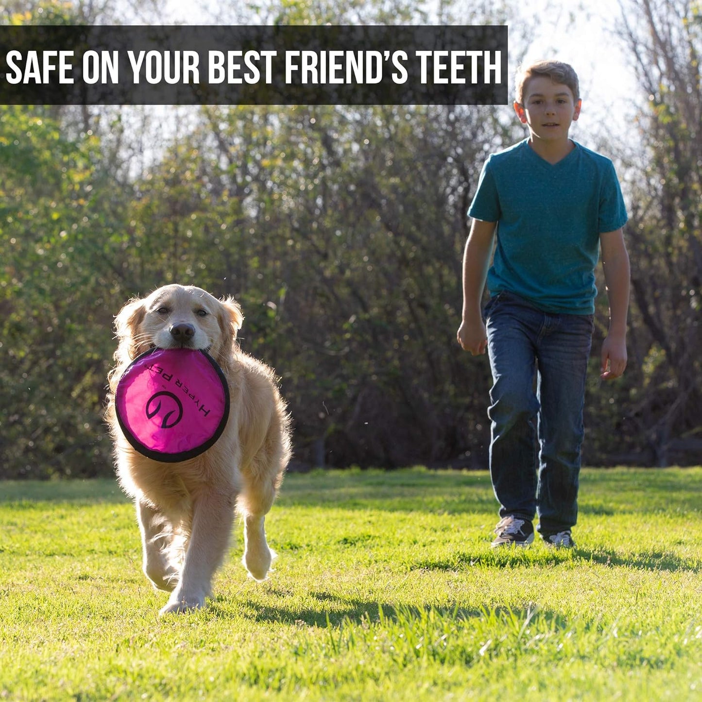 Dog Frisbee