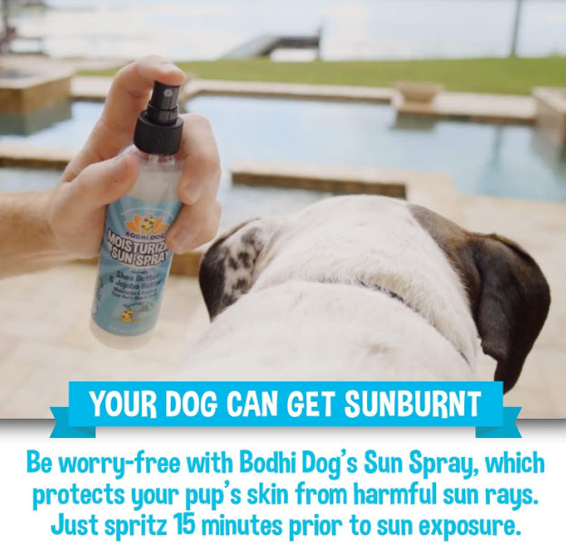 SPF 30+ Dog Sunscreen