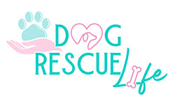 Dog Rescue Life